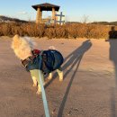 송이공원 화장실 이미지