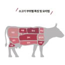 고기팩트