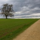 마음의 산책3 이미지