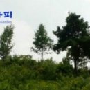 다담농산물