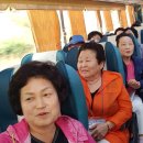 해돋이새뜰마을 네이버블로그