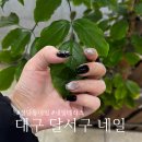 엘디네일