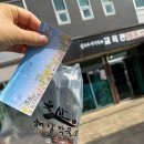 울산 해양박물관 세계 희귀 산호 패류 전시관