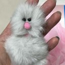 쁘띠그루밍 네이버블로그