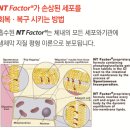 갤러리비타민약국 이미지