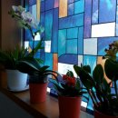 선녀와 나무꾼의 힐하우스 이미지