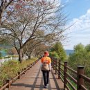 숙미식당 이미지