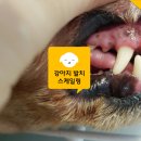 신대동물병원 이미지