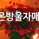 파랜하이트
