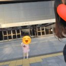 벨몽드 만천점 | 국립춘천박물관 나들이/춘천 아이랑갈만한곳/춘천 체험놀이/춘천서점&문구사/춘천문교/아이랑 따로...