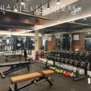 투엑스휘트니스 이미지