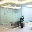 레푸스미아 이미지