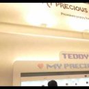 부산강아지분양 테디럽 명지본점 이미지