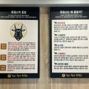큰시장흑염소 | 미추홀구 신기시장 보양식 천의흑염소 후기