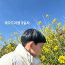 청수보리밥 | 제주도 태교여행 2탄, 제주 올패스 48시간 이용후기, 산방산유채꽃, 오설록티뮤지엄, 돌고래요트투어