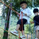 오행 체조(요가) 이미지