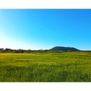 동광목장 이미지