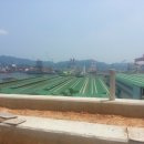 옥산농원 이미지