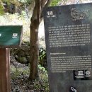 세계유산코스 이미지