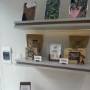 엘약국 | 베트남 다낭 쇼핑리스트 추천 뷰모리샵 엘스토어 한시장 약국