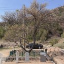 내죽고마을회관 이미지