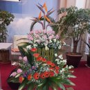 호산나교회 이미지