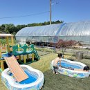 고정농장 이미지