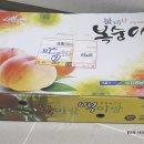 불태산농장 | 불태산 명품 백도 복숭아 아삭아삭 달고 맛있어요