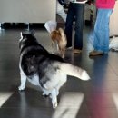 애코랜드 이미지