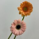 선수촌공원로 17번길 이미지