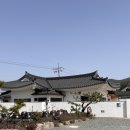 배동스테이 이미지