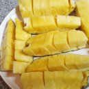 독산레인보우펜션 이미지