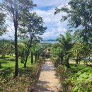 에벤에셀헤어 이미지