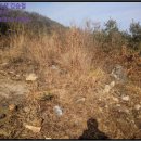 KT함양지점 이미지