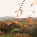 천안오룡동성당, 두산성당, 신암성당 그 외 개인 순례자분들 ... 이미지