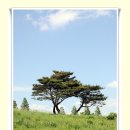 오케이목장 이미지