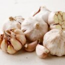 초당약국 이미지