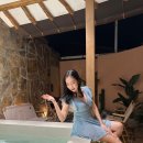 세렌디피아 이미지