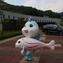 평창고기