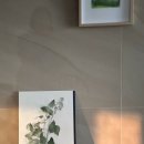 테르베르트(Terre Verte)