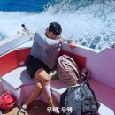 낭만청춘 | 대환장기안장 마지막회 후기. 울릉도X독도X낭만 폭발한 청춘의 기록!