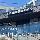 성안파출소 화장실 | 울산 성안동 스타벅스 울산성안점 주차 메뉴 추천