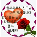 즐거워야 인생이다 이미지