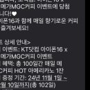 (주)땅콩투어 이미지