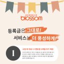 디자인블로썸