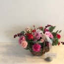 디스베리데이 이미지