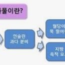 대박점핑 - 남양주시 | 대박점핑