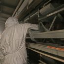 황봉농장 이미지