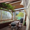 그리다용화 이미지