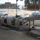 신덕바지락영어조합법인 이미지